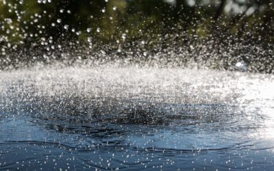 How Rain Affects the Integrity of Your Home